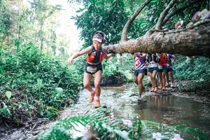 BIB: 
                            <button type="button" onclick="openModal(25444984)" class="btn btn-primary btn-sm float-right btn-popup" data-toggle="modal" data-target=".modal-high-quality">
                        <i class="fas fa-shopping-cart"></i> Add to Cart
                    </button>
                                            <button type="button" onclick="isThisMe(25444984, true)" class="btn btn-success btn-sm float-right btn-popup btn-isme hidden" data-toggle="tooltip" data-placement="bottom" title="นี่คือรูปของคุณใช่ไหม คลิกที่นี่เพื่อเอาเข้าอัลบั้ม">
                        <i class="fas fa-plus"></i> Add to album
                    </button>
                    <button type="button" onclick="isThisMe(25444984, false)" class="btn btn-warning btn-sm float-right btn-popup btn-isnotme hidden">
                        <i class="fas fa-ban"></i> Remove from album
                    </button>